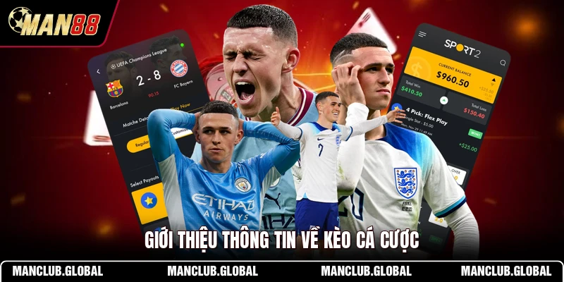 Giới thiệu thông tin về kèo cá cược